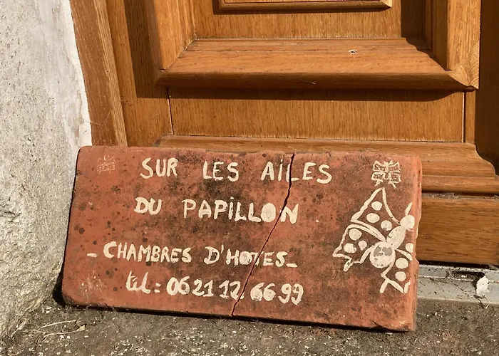 Sur Les Ailes Du Papillon-La Suite